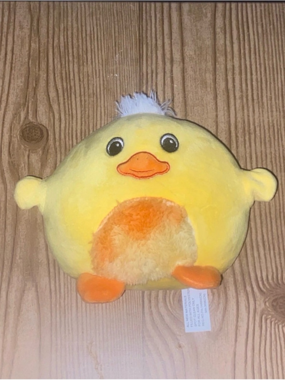Duck Head Yellow & Orange Plush Chick Pet Toy